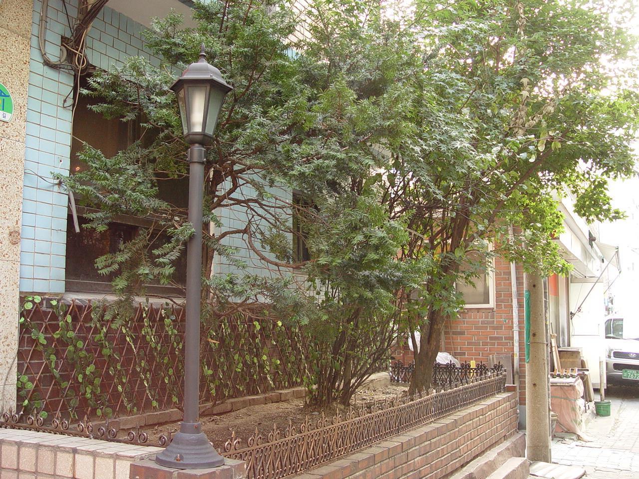Saewha Hostel Σεούλ Εξωτερικό φωτογραφία
